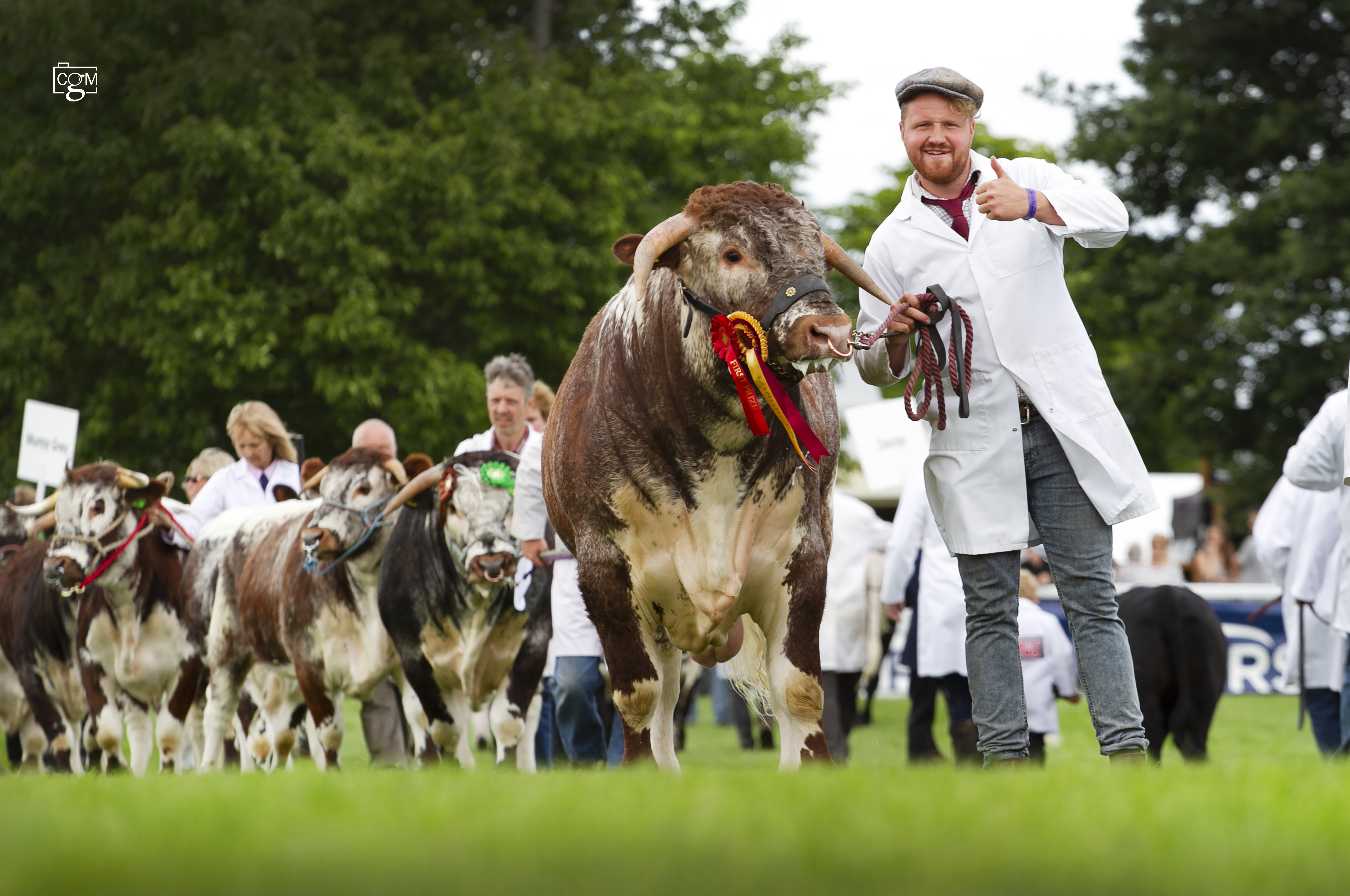 Read more about the article All the action from Royal Three Counties Show