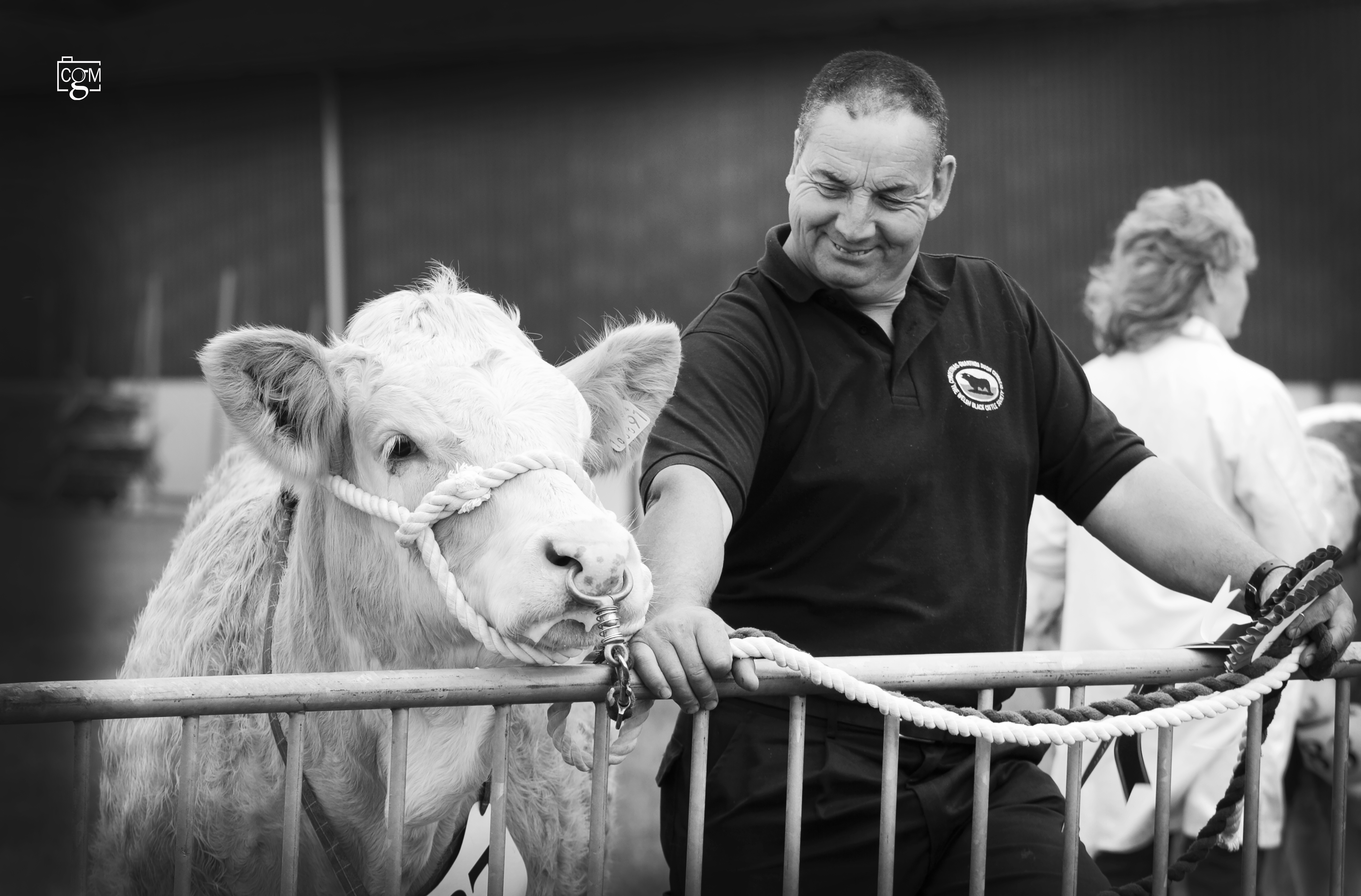 Read more about the article Pembrokeshire Show – a first for Country Girl Media