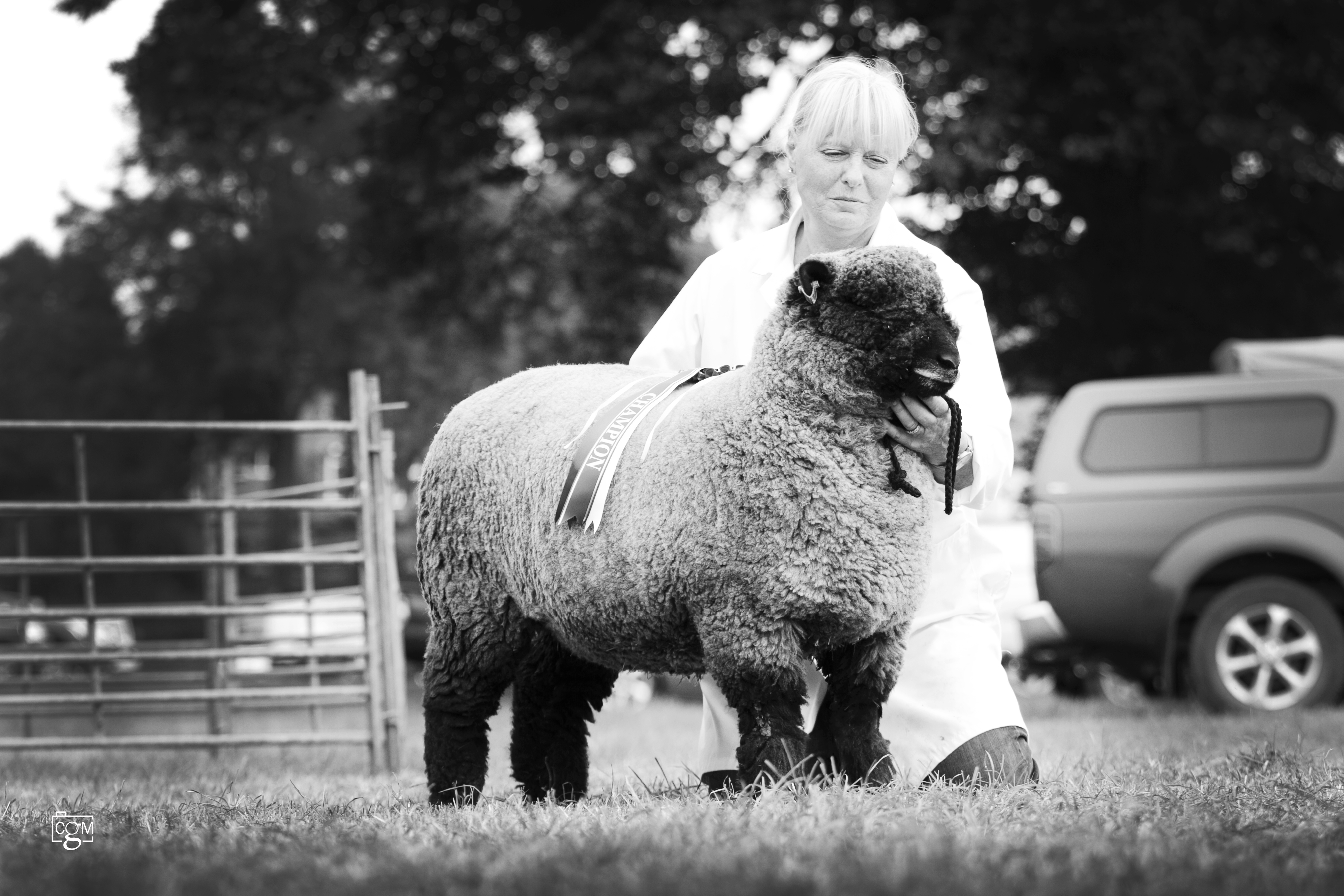 Read more about the article All the action from Sennybridge Show