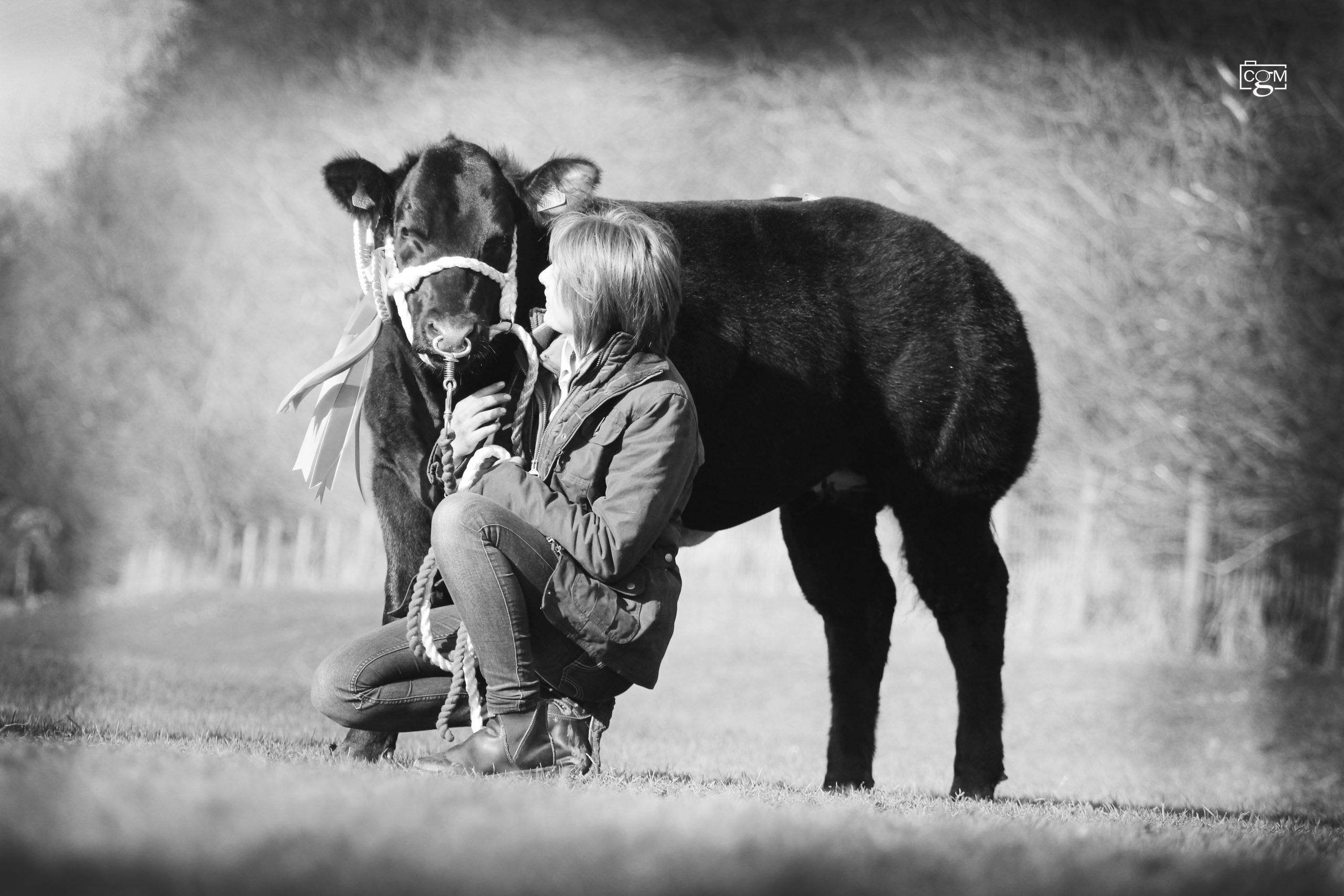 Read more about the article Bids fly at Ruthin show potential sale