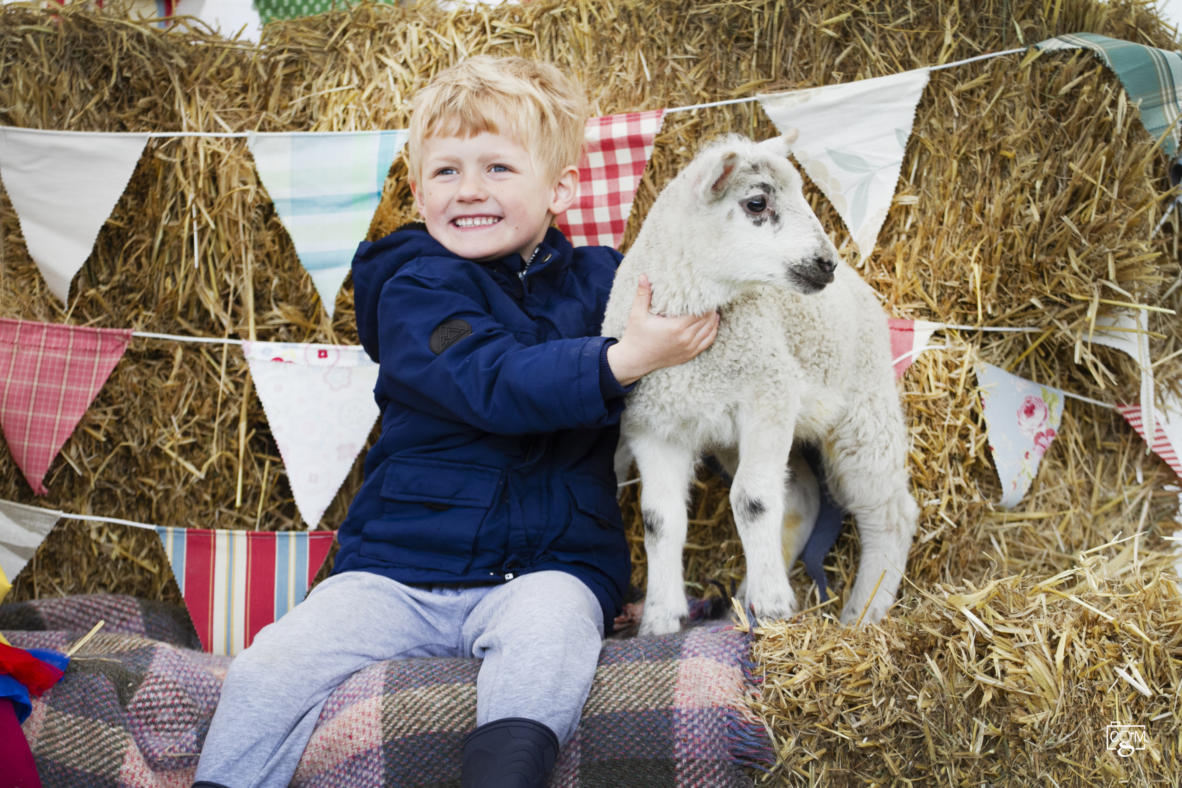 Read more about the article Lambs galore at Hope Farm lambing day