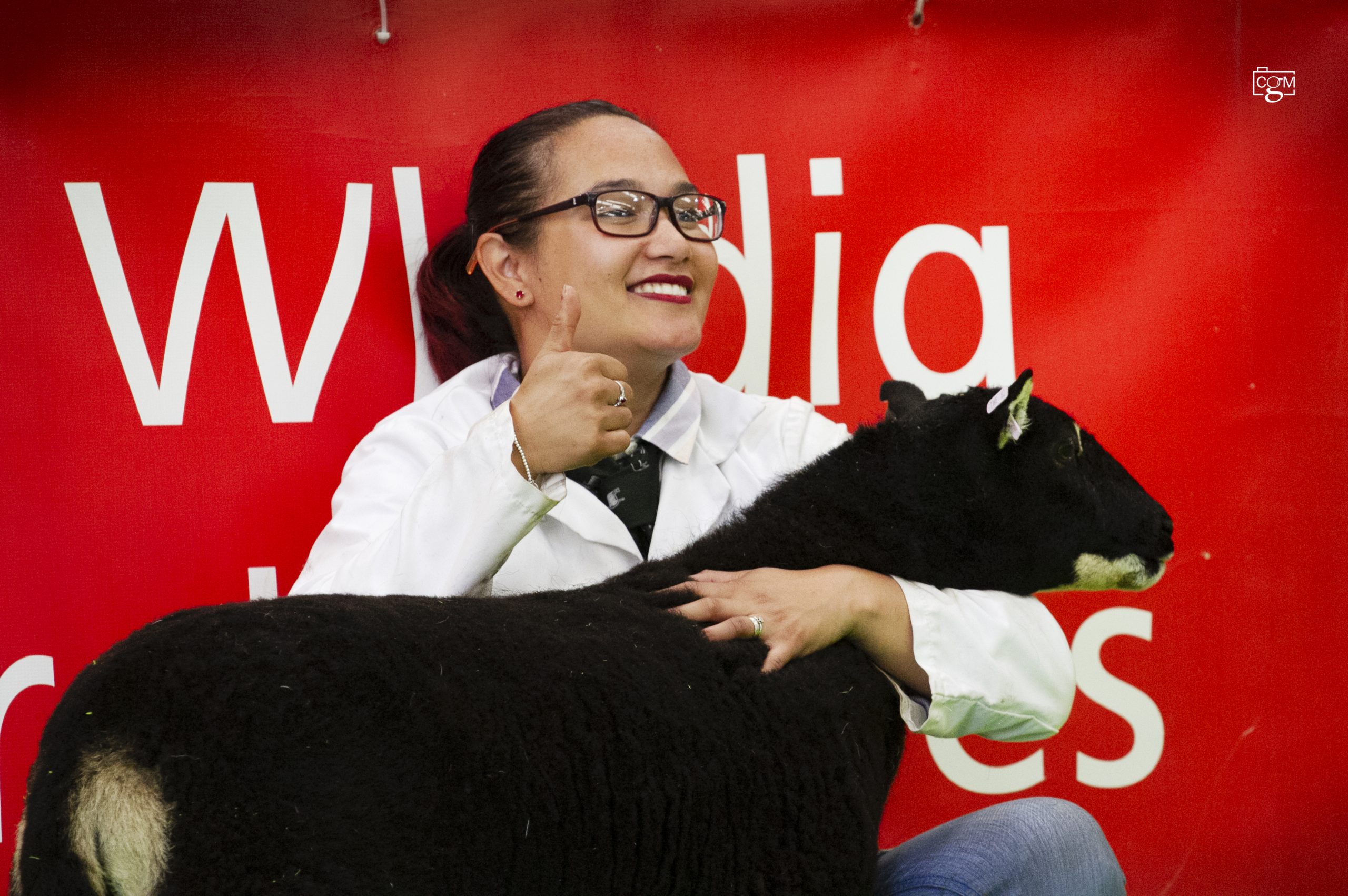 Read more about the article Badgers on top form at Builth Spring Festival