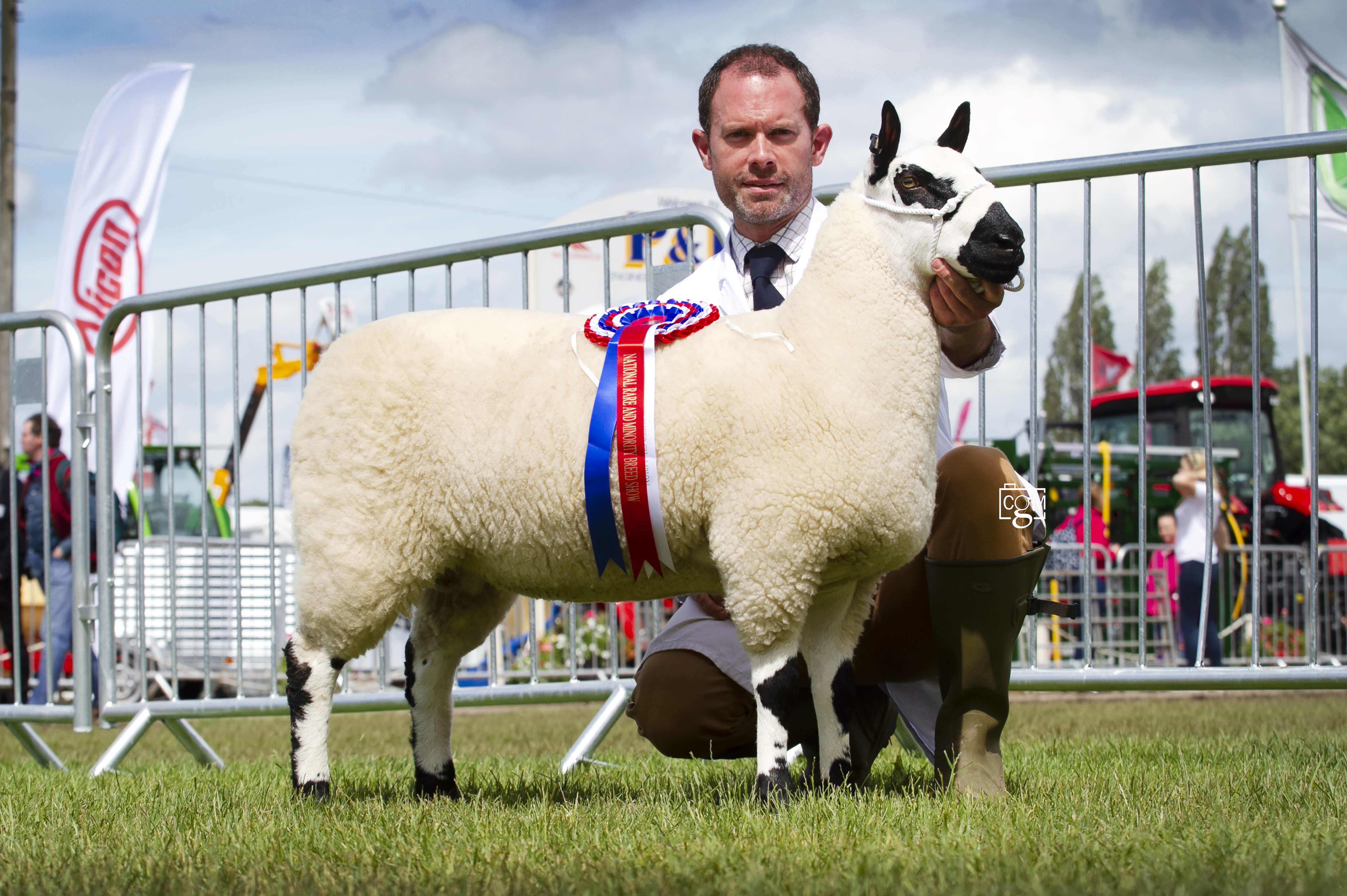 Read more about the article A crazy busy Royal Three Counties Show