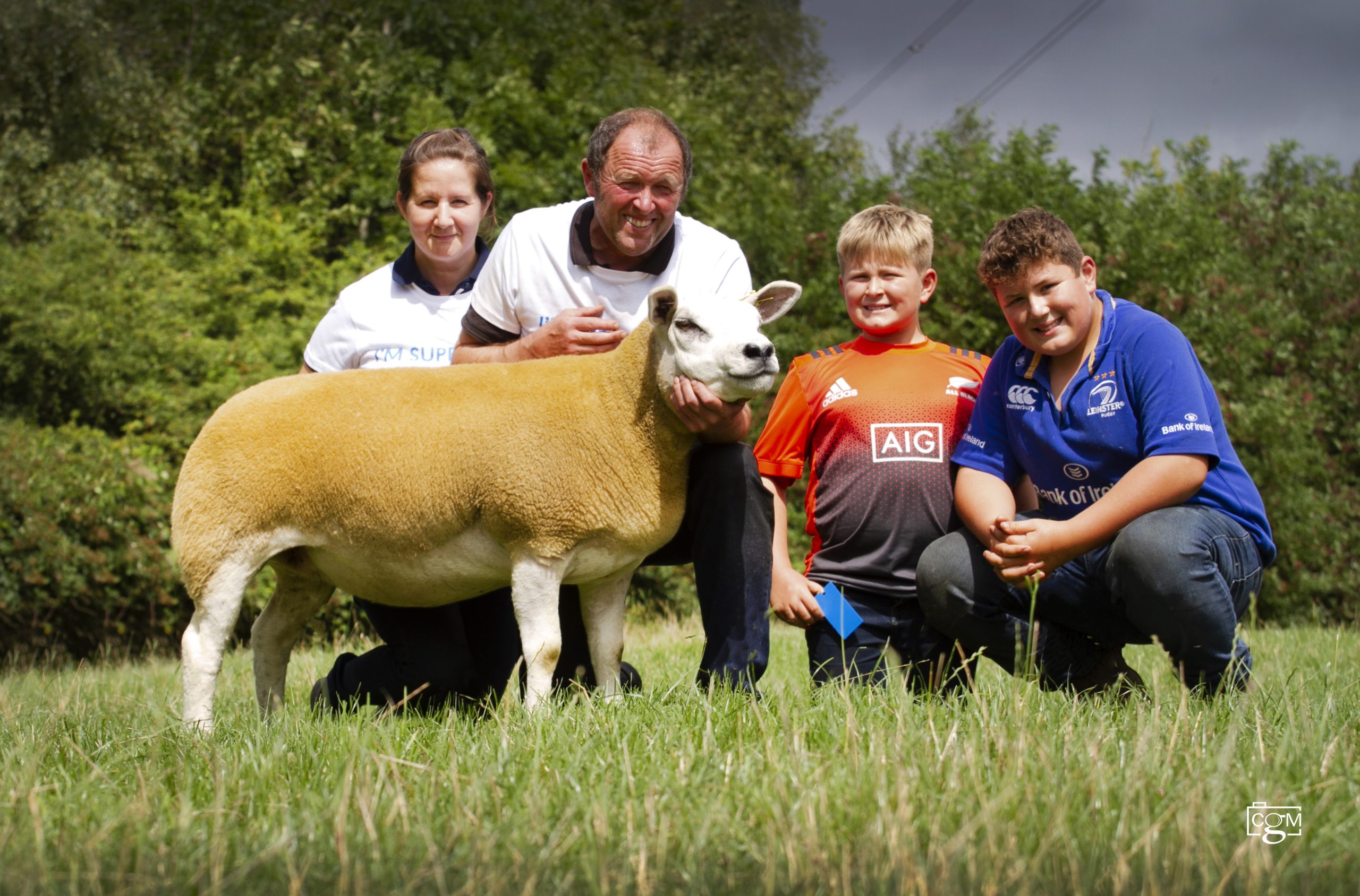 Read more about the article Texel trade hits 1850gns at Worcester