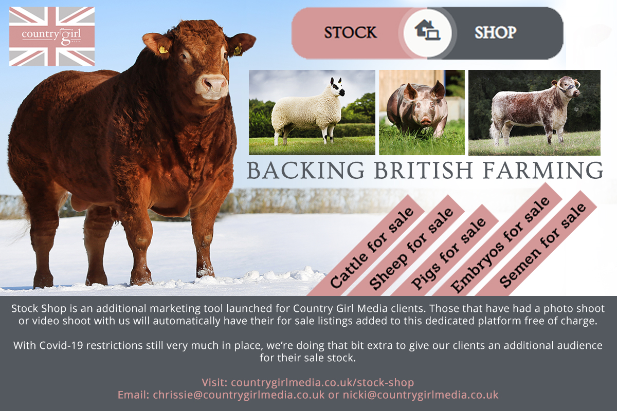 Read more about the article Country Girl Media launches new marketing tool for clients