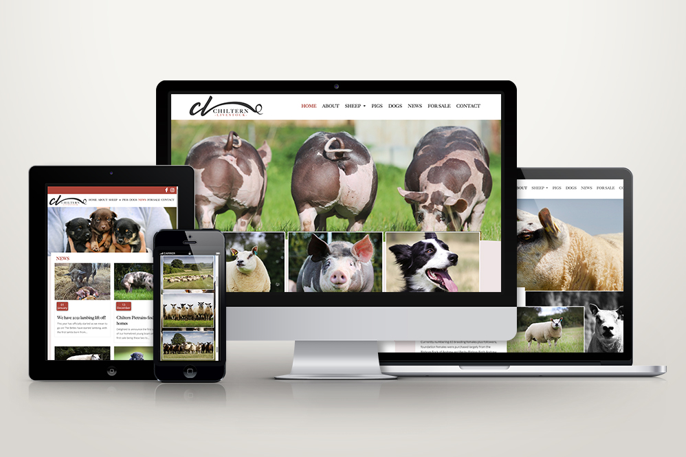 Read more about the article New brand identity for Chiltern Livestock
